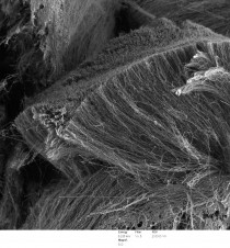 SEM-Nanotube de carbone-640x_resized