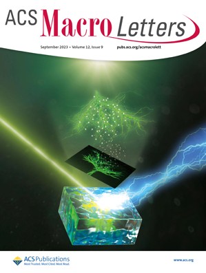 Publication Thumbnail