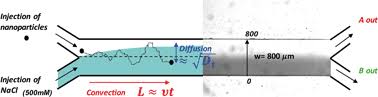 Publication Thumbnail