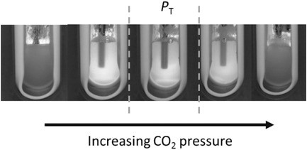 Publication Thumbnail